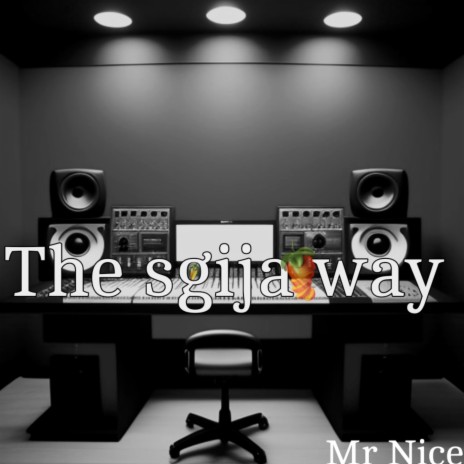 The sgija way | Boomplay Music