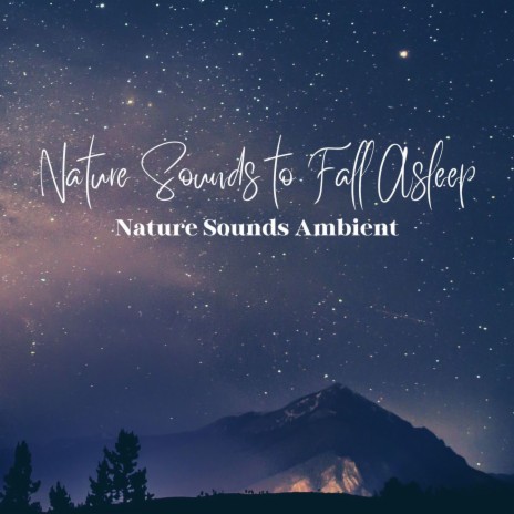 Ambient Music for Sleeping | Boomplay Music