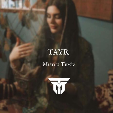 Tayr | Boomplay Music