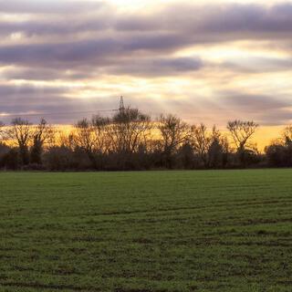 Soft Evening Breeze