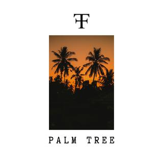 Palm Tree