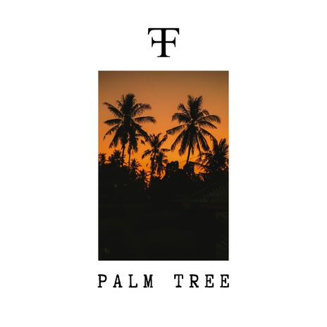 Palm Tree ft. Gelazza | Boomplay Music