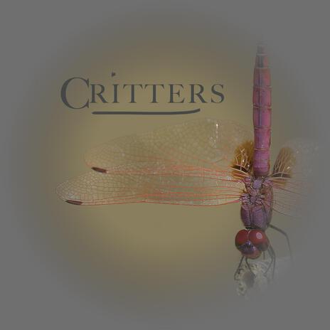 Critters ft. John HW Barber | Boomplay Music