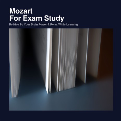 Bassoon Concerto in B Flat Major, K.191: III. Rondo | Boomplay Music