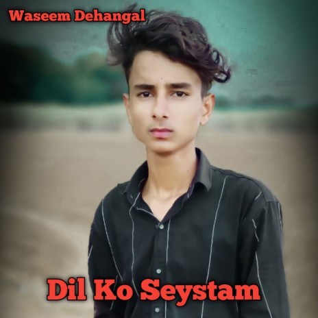 Dil Ko Seystam (Mewati) | Boomplay Music