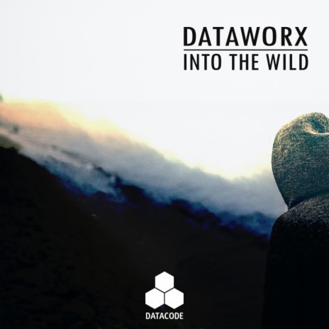 Into The Wild (Original Mix)