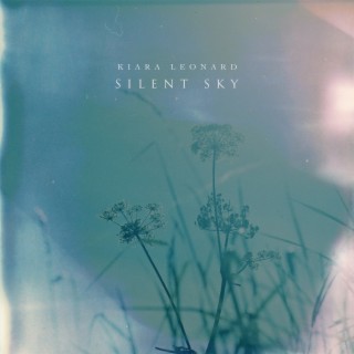 Silent sky