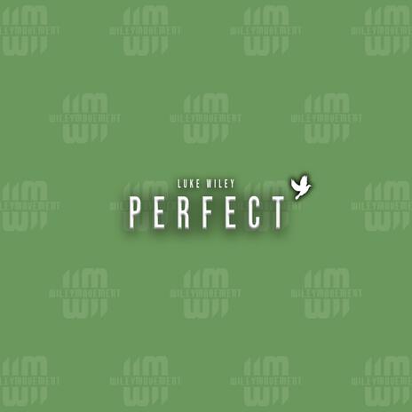 Perfect | Boomplay Music