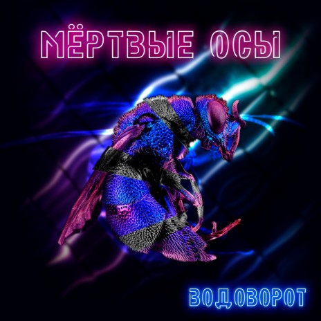 Водоворот | Boomplay Music