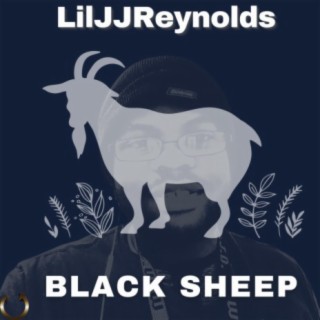 Black Sheep lyrics | Boomplay Music