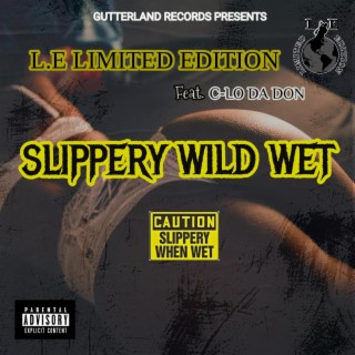 Slippery Wild Wet