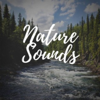 Nature Sounds: River Sounds Indonesia