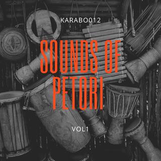 SOUNDS OF PETORI VOL 1 EP