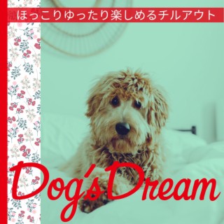 Dog’s Dream