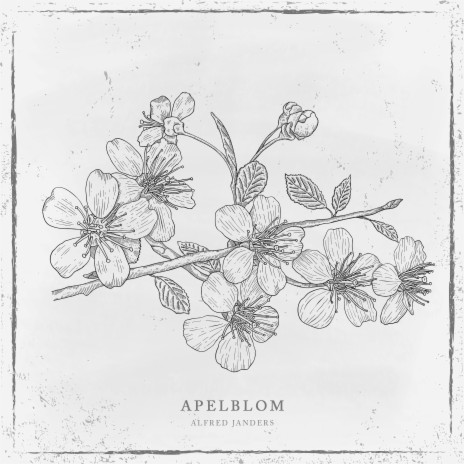 Apelblom | Boomplay Music