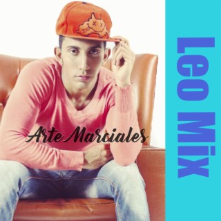 Arte Marciales Leo Mix