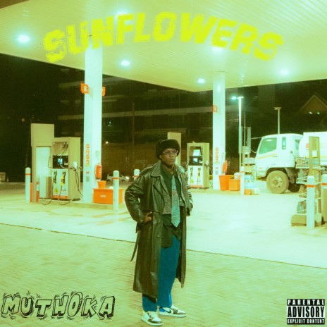 Sunflowers | Boomplay Music