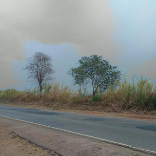 Meus dias cinzas.