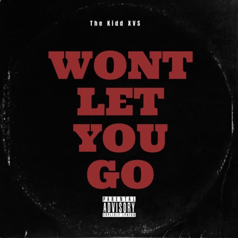Won't Let You Go | Boomplay Music