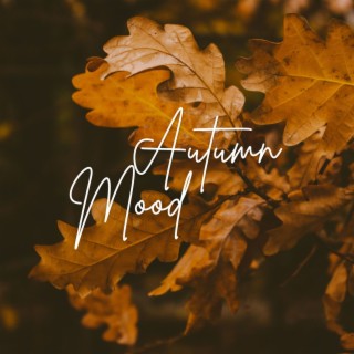 Autumn Mood: Acoustic Guitar Relaxed Mood