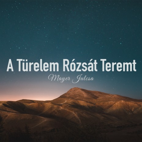 A türelem rózsát teremt | Boomplay Music