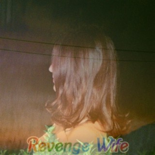 Revenge Wife