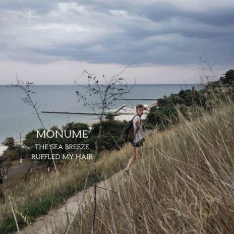 The Sea Breeze Ruffled My Hair | Boomplay Music