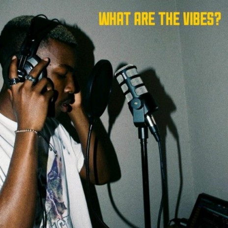 What Are The Vibes | Boomplay Music