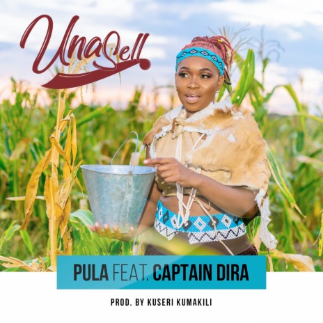 Pula ft. Captain Dira | Boomplay Music