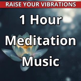 1 Hour Meditation Music to Raise Your Vibrations