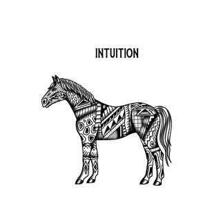 Intuition