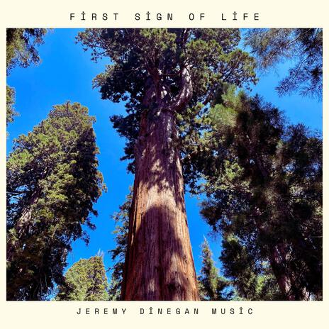 First Sign of Life | Boomplay Music