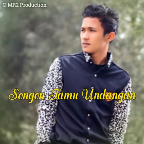 Songon Tamu Undangan ft. Dedy Gunawan | Boomplay Music