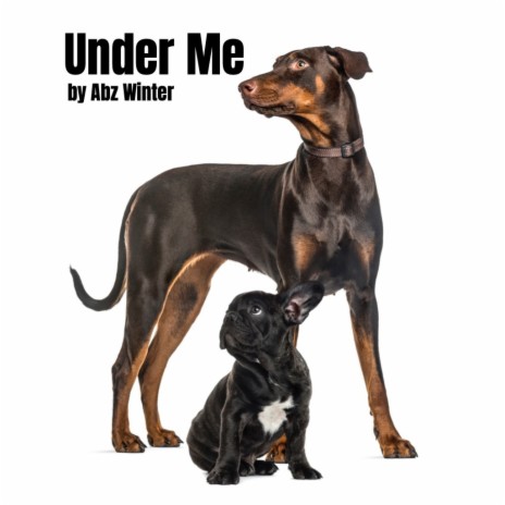 Under Me | Boomplay Music