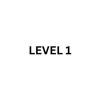 LEVEL 1 (LEVEL 1)