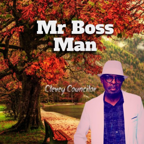 Mr. Boss Man | Boomplay Music