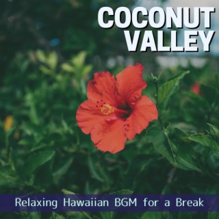 Relaxing Hawaiian BGM for a Break