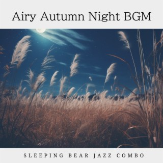 Airy Autumn Night BGM