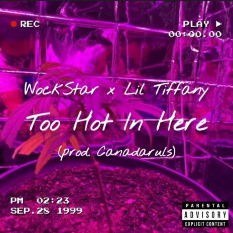 Too Hot In Here ft. Lil Tiffany | Boomplay Music