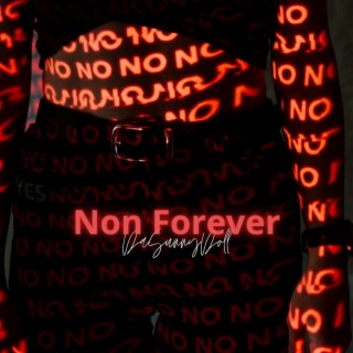Non Forever lyrics | Boomplay Music