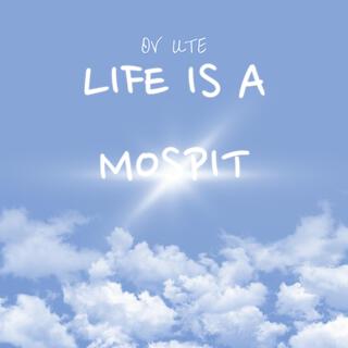 Life is a Moshpit