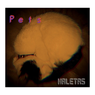 Pets