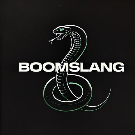 BOOMSLANG ft. Blnkay & Brainspin | Boomplay Music