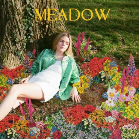 Meadow | Boomplay Music