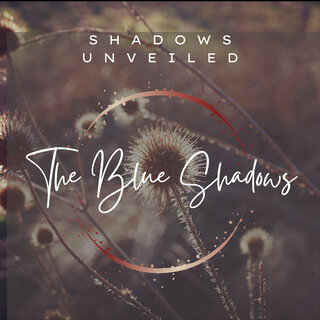 Shadows Unveiled