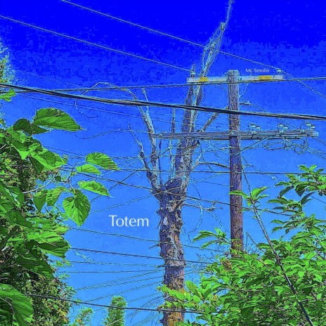 Totem | Boomplay Music