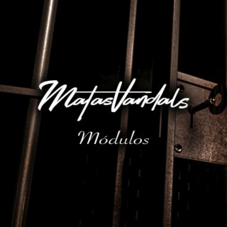 Módulos