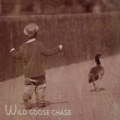 Wild goose chase | Boomplay Music