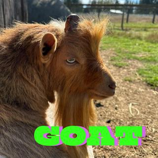 GOAT lyrics | Boomplay Music