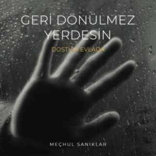 Geri Dönülmez Yerdesin (Dostum Elveda) lyrics | Boomplay Music